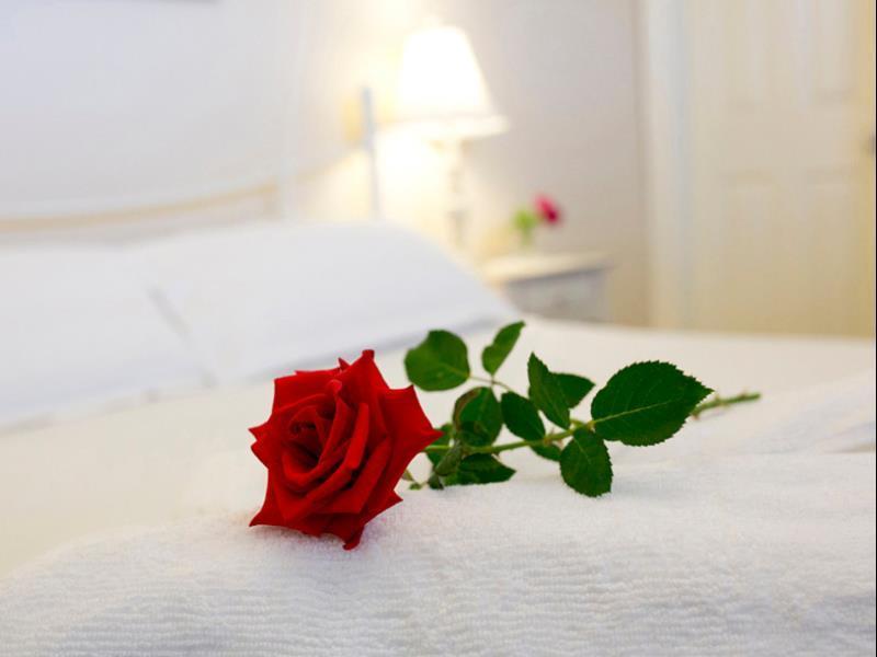 Newcastle'S Bed & Breakfast Εξωτερικό φωτογραφία