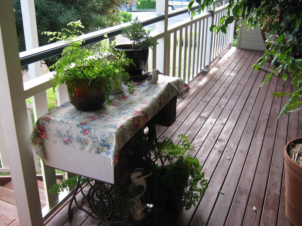Newcastle'S Bed & Breakfast Εξωτερικό φωτογραφία